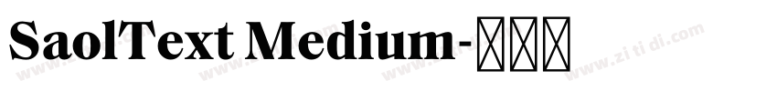 SaolText Medium字体转换